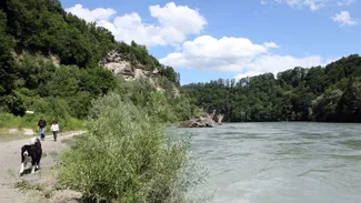 Walkers with dog at the river banks of the Salzach