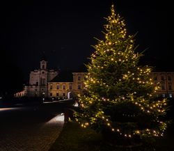 Der Weihnachtsbaum der ehemaligen Klosteranlage